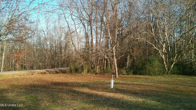 $99,500 | 9 Hwy Blue Springs, Blue Springs, MS 38828
