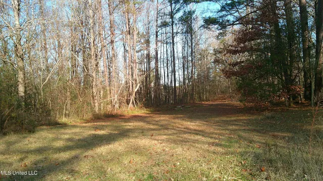 $99,500 | 9 Hwy Blue Springs, Blue Springs, MS 38828