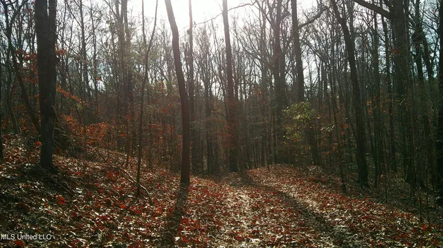 $99,500 | 9 Hwy Blue Springs, Blue Springs, MS 38828