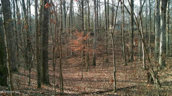 $99,500 | 9 Hwy Blue Springs, Blue Springs, MS 38828