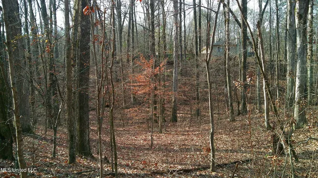 $99,500 | 9 Hwy Blue Springs, Blue Springs, MS 38828