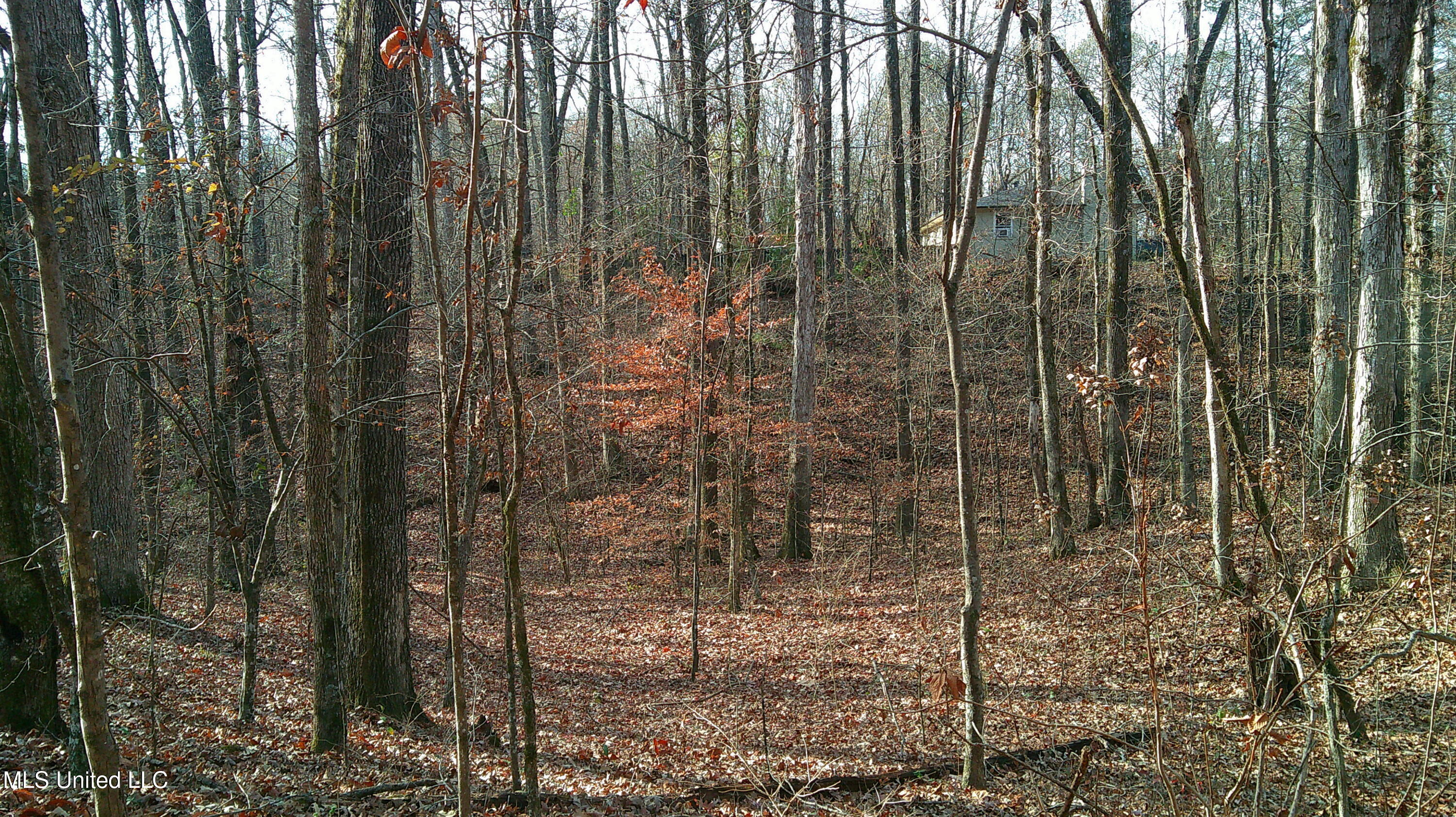 9 Hwy Blue Springs Blue Springs, MS 38828 - Photo 7 of 19 DSCF0060