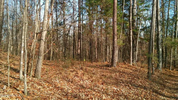 $99,500 | 9 Hwy Blue Springs, Blue Springs, MS 38828