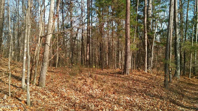 $99,500 | 9 Hwy Blue Springs, Blue Springs, MS 38828