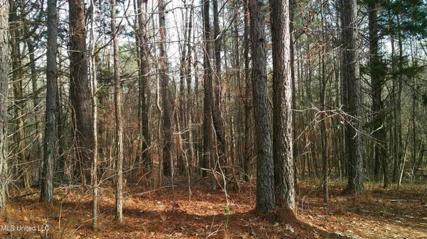 $99,500 | 9 Hwy Blue Springs, Blue Springs, MS 38828