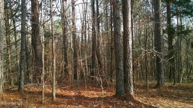 $99,500 | 9 Hwy Blue Springs, Blue Springs, MS 38828