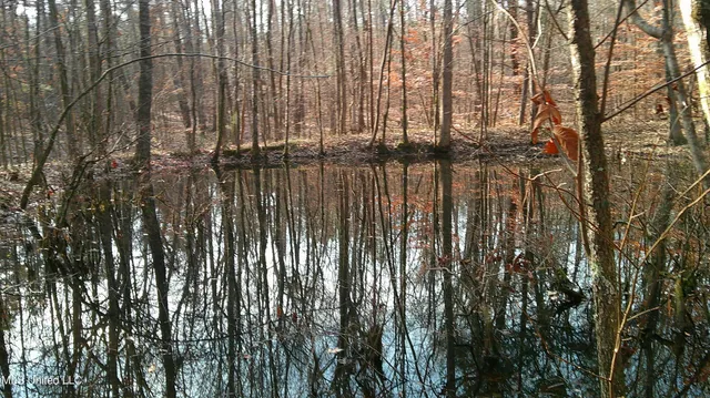 $99,500 | 9 Hwy Blue Springs, Blue Springs, MS 38828