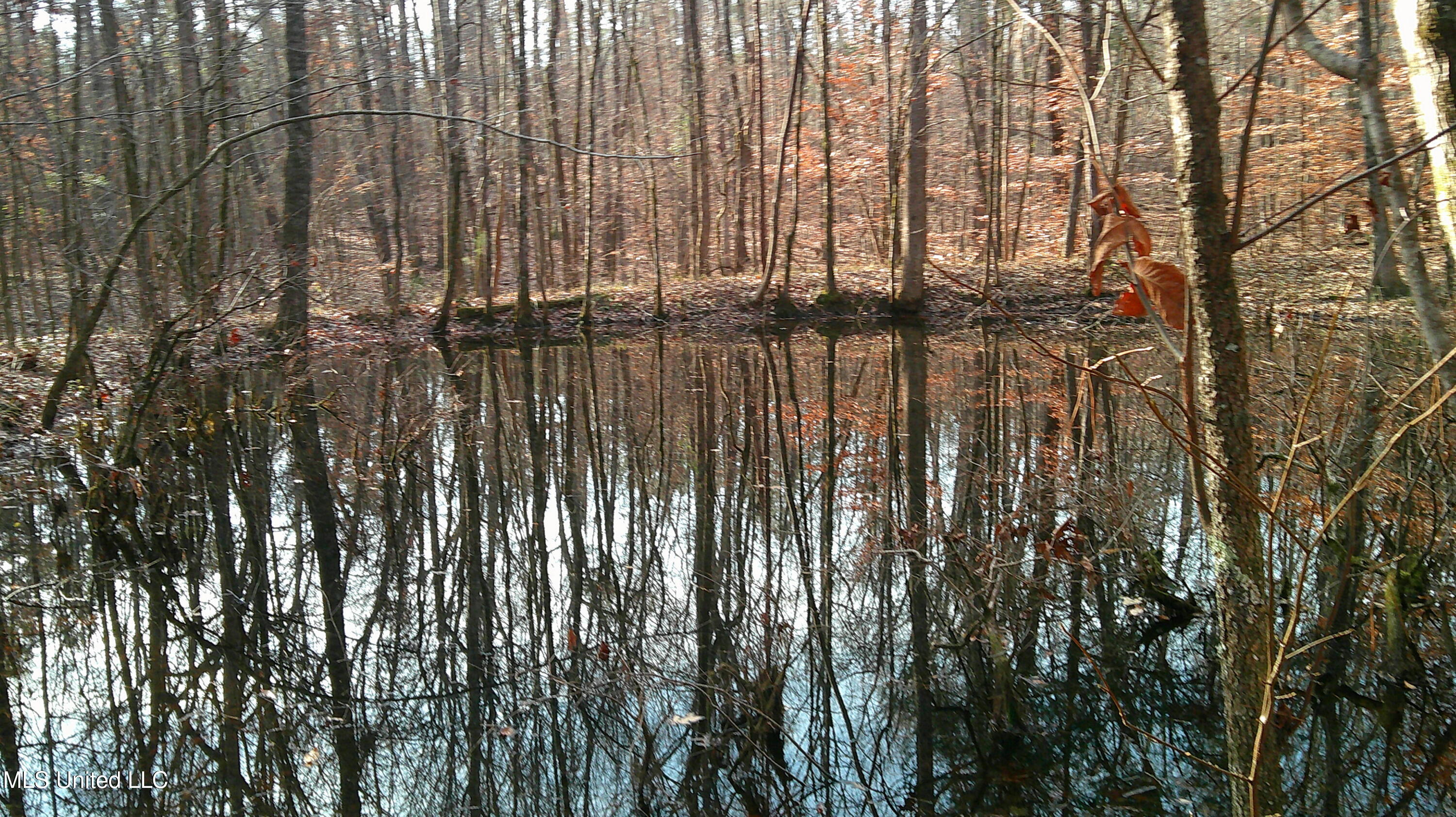 9 Hwy Blue Springs Blue Springs, MS 38828 - Photo 10 of 19 DSCF0063