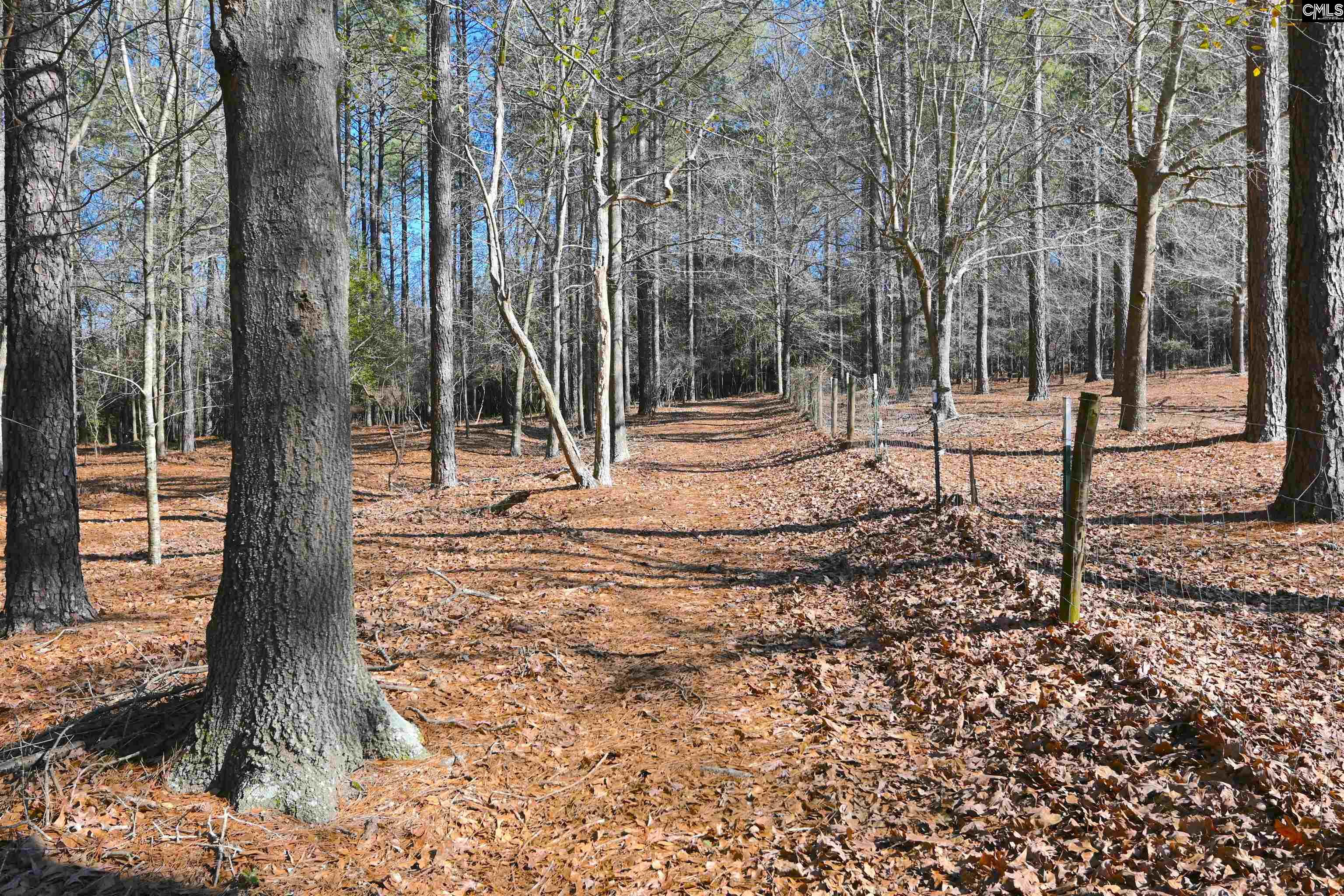 707 Mt Ebal Road Batesburg, SC 29006 - Photo 6 of 48