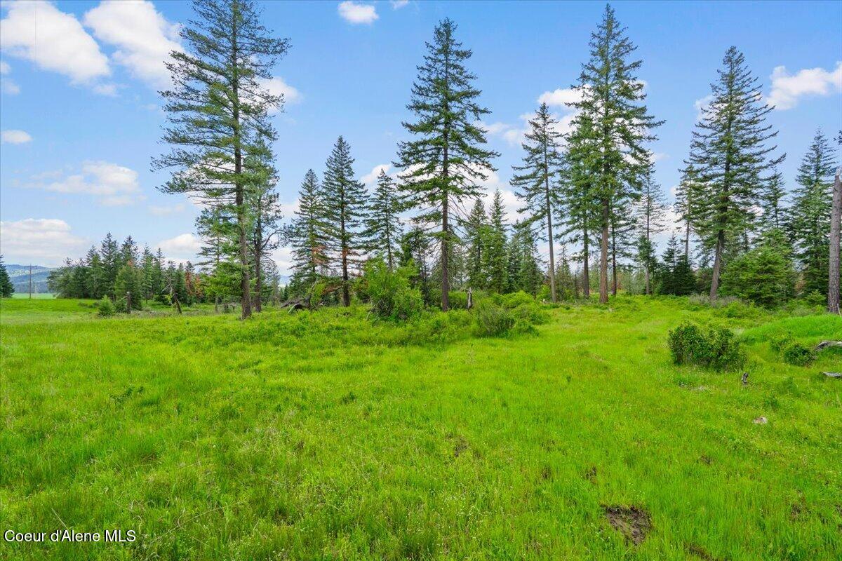 572 Foote Road Desmet, ID 83824 - Photo 28 of 38 Good Mixture of Meadow & Trees