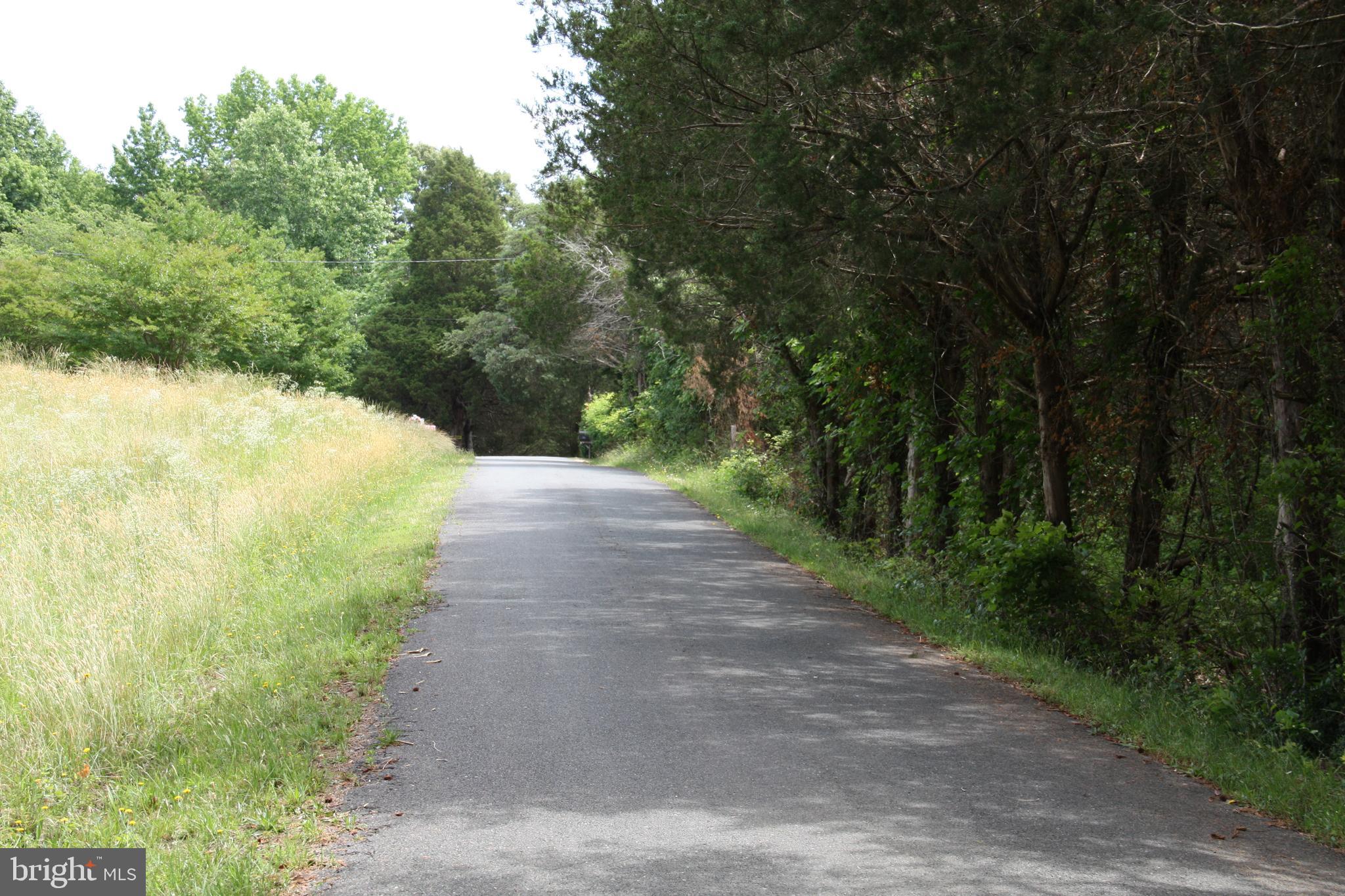 Old Falls Road Fredericksburg, VA 22405 - Photo 1 of 22 View along roadway facing north