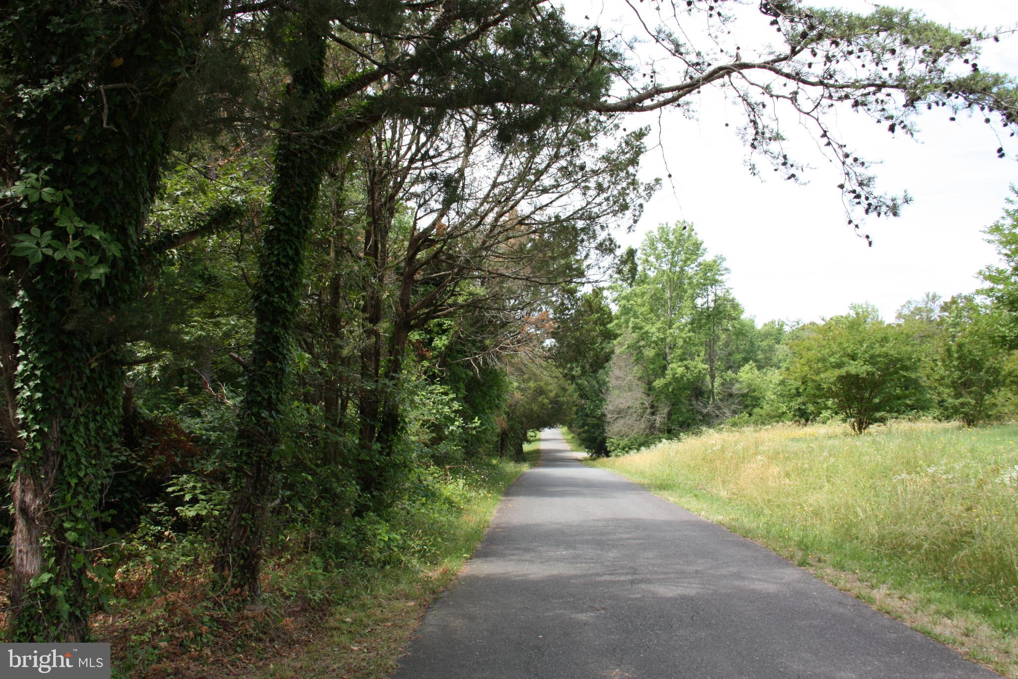 Old Falls Road Fredericksburg, VA 22405 - Photo 2 of 22 View along roadway facing south