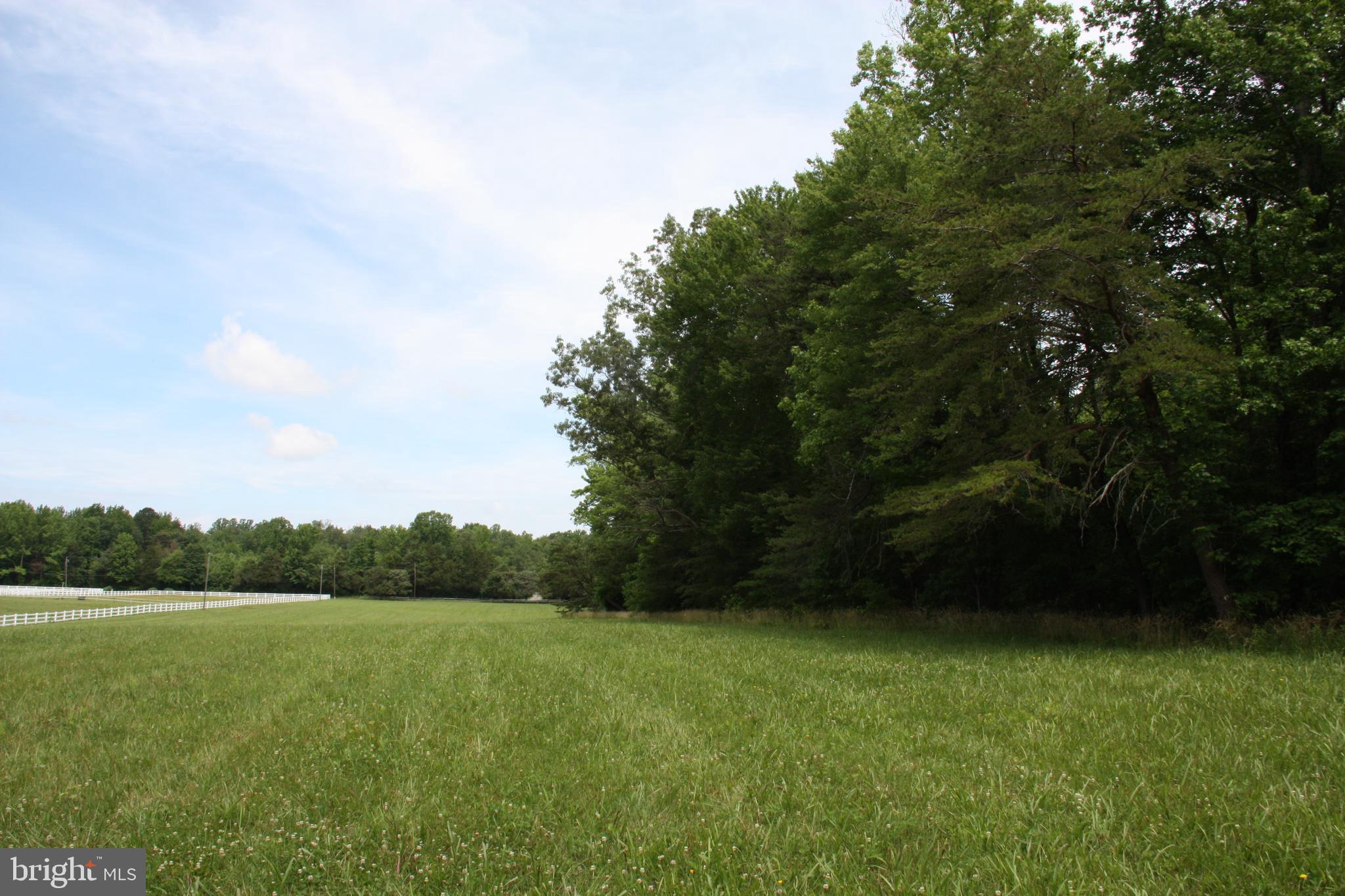 Old Falls Road Fredericksburg, VA 22405 - Photo 14 of 22 South property line facing roadway.