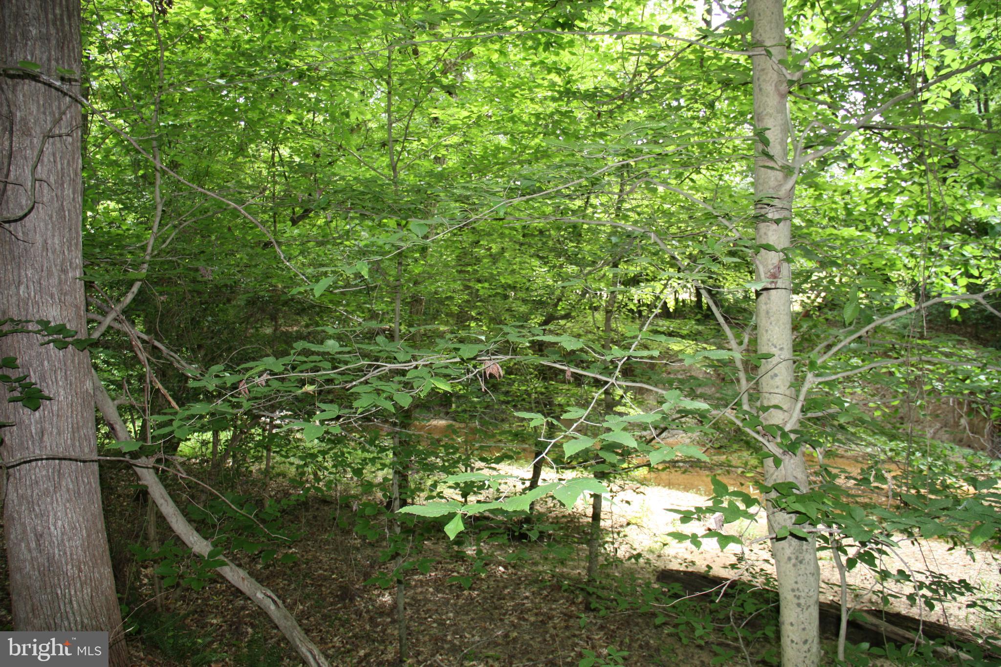 Old Falls Road Fredericksburg, VA 22405 - Photo 16 of 22 Creek view
