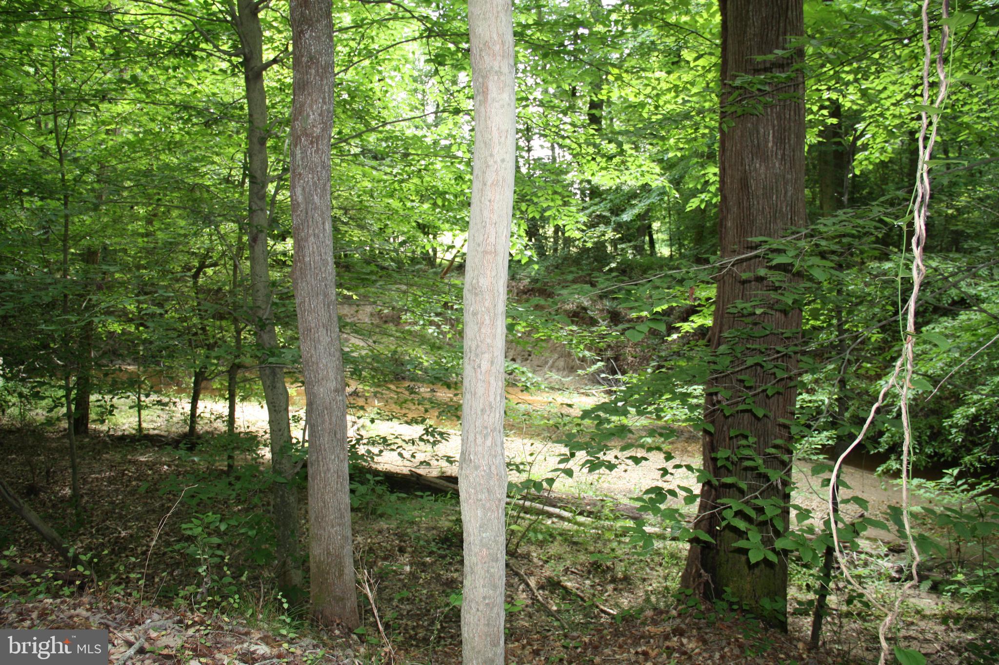 Old Falls Road Fredericksburg, VA 22405 - Photo 17 of 22 Creek view
