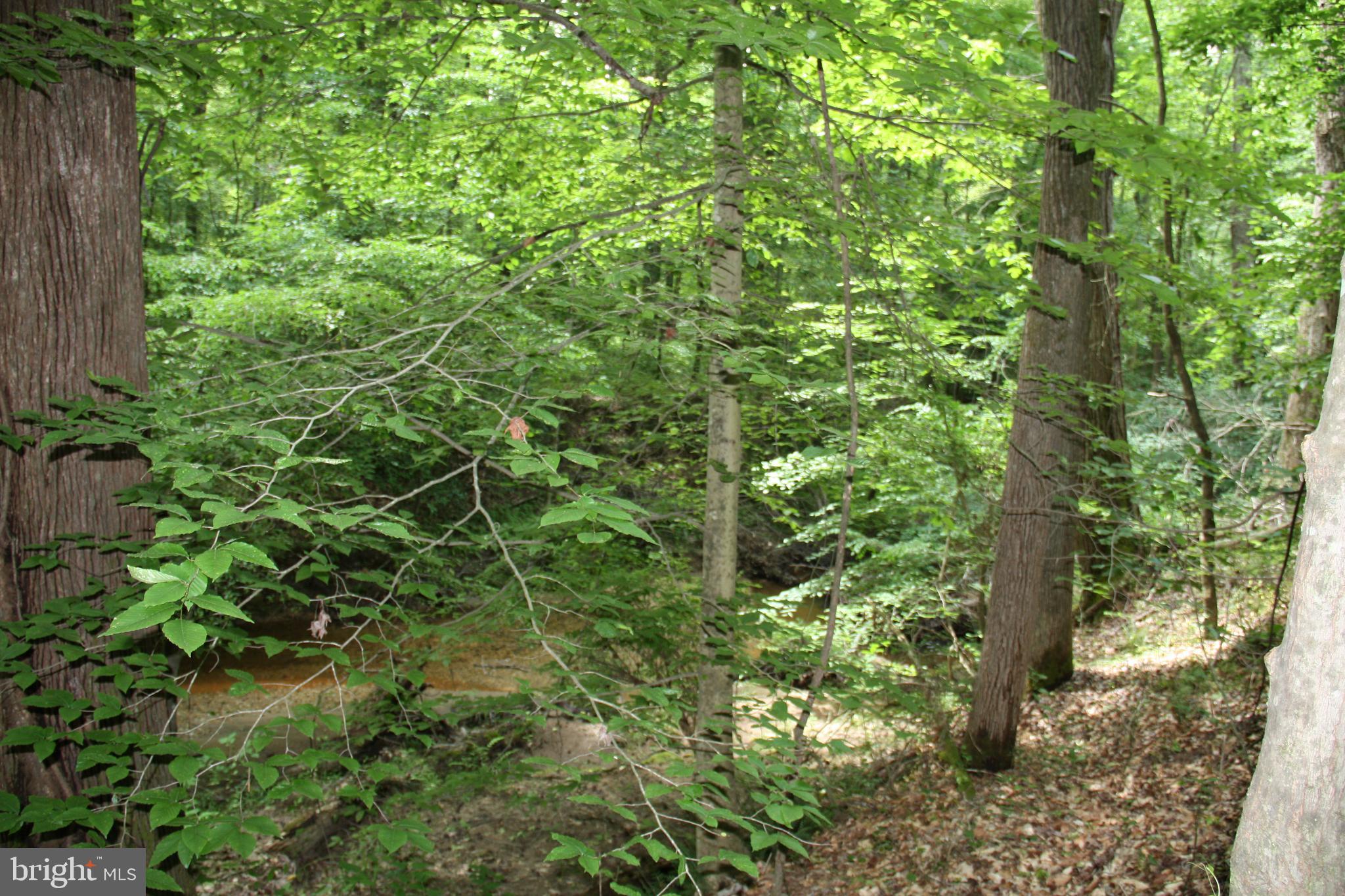 Old Falls Road Fredericksburg, VA 22405 - Photo 18 of 22 Creek view