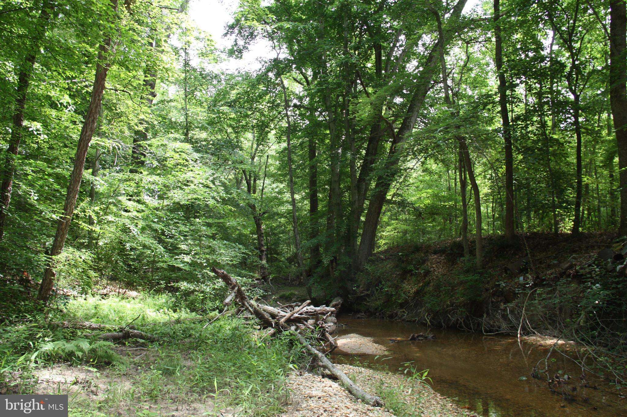 Old Falls Road Fredericksburg, VA 22405 - Photo 20 of 22 Creek/Little Falls Run