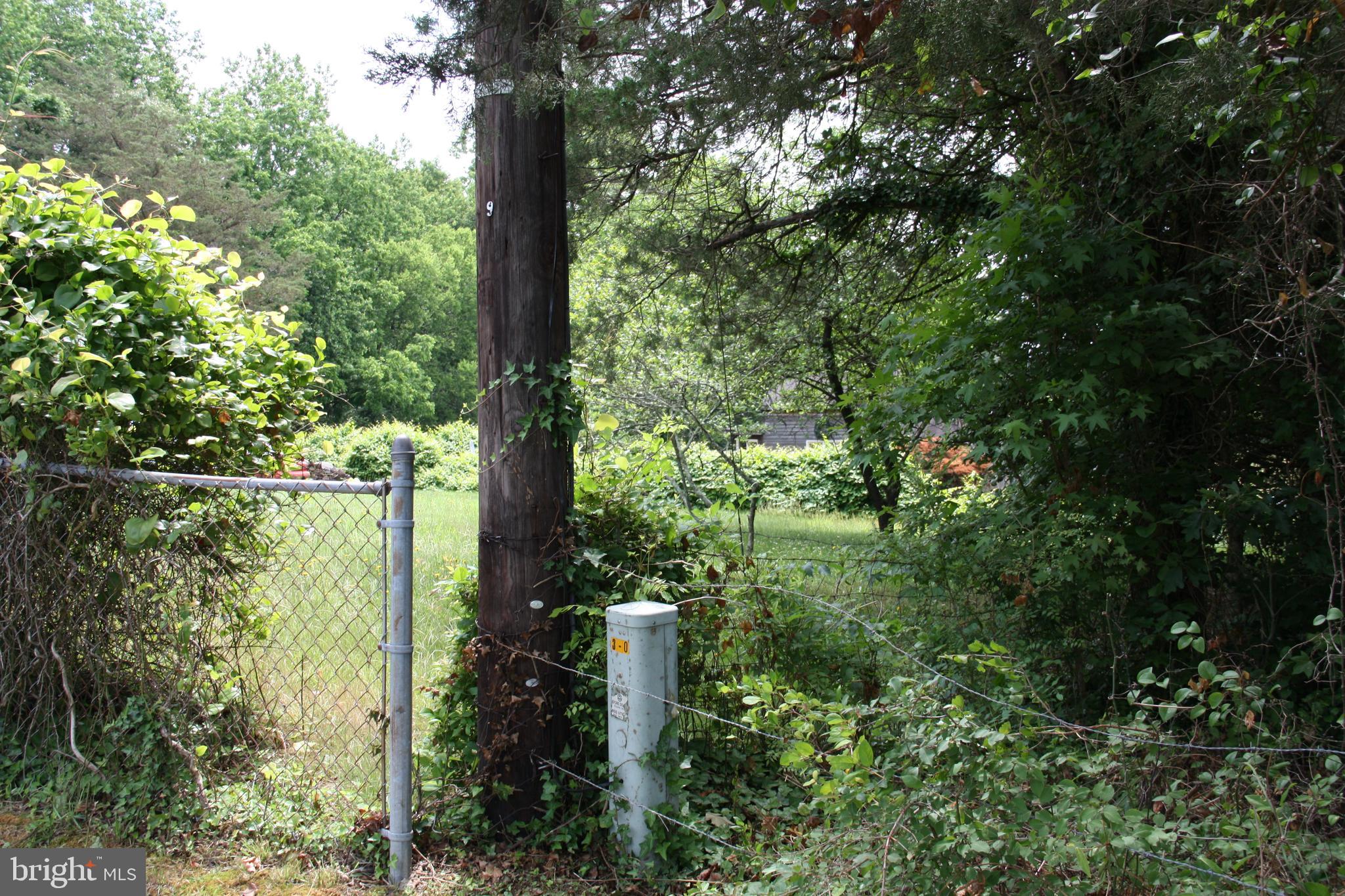 Old Falls Road Fredericksburg, VA 22405 - Photo 3 of 22 Northwest lot corner on roadway