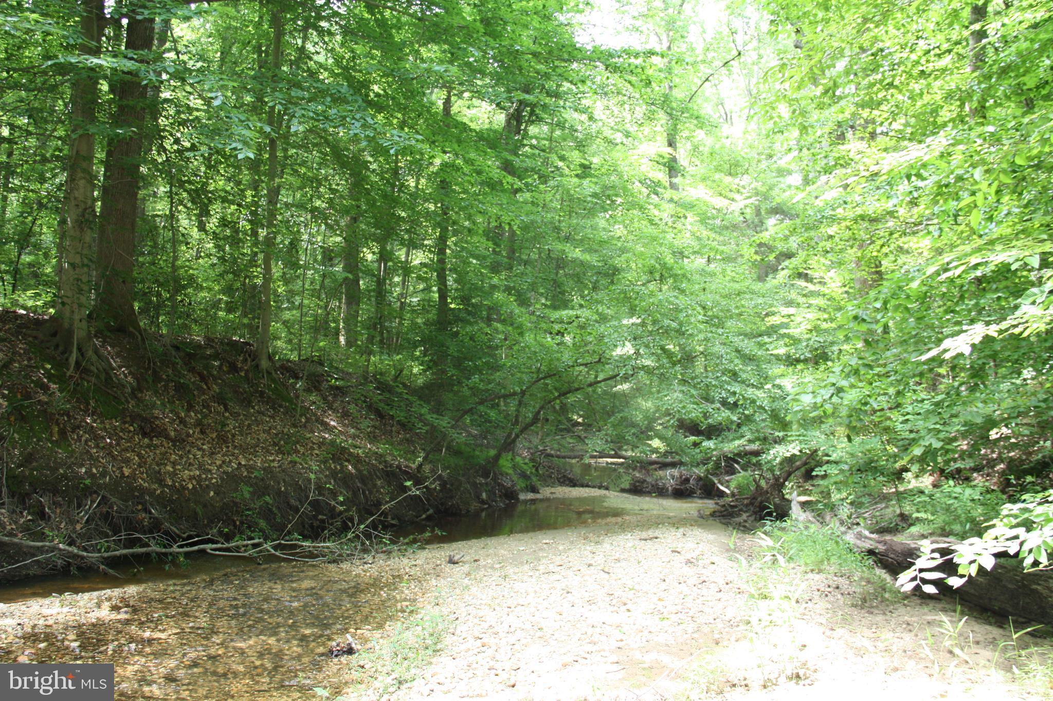 Old Falls Road Fredericksburg, VA 22405 - Photo 21 of 22 Creek/Little Falls Run