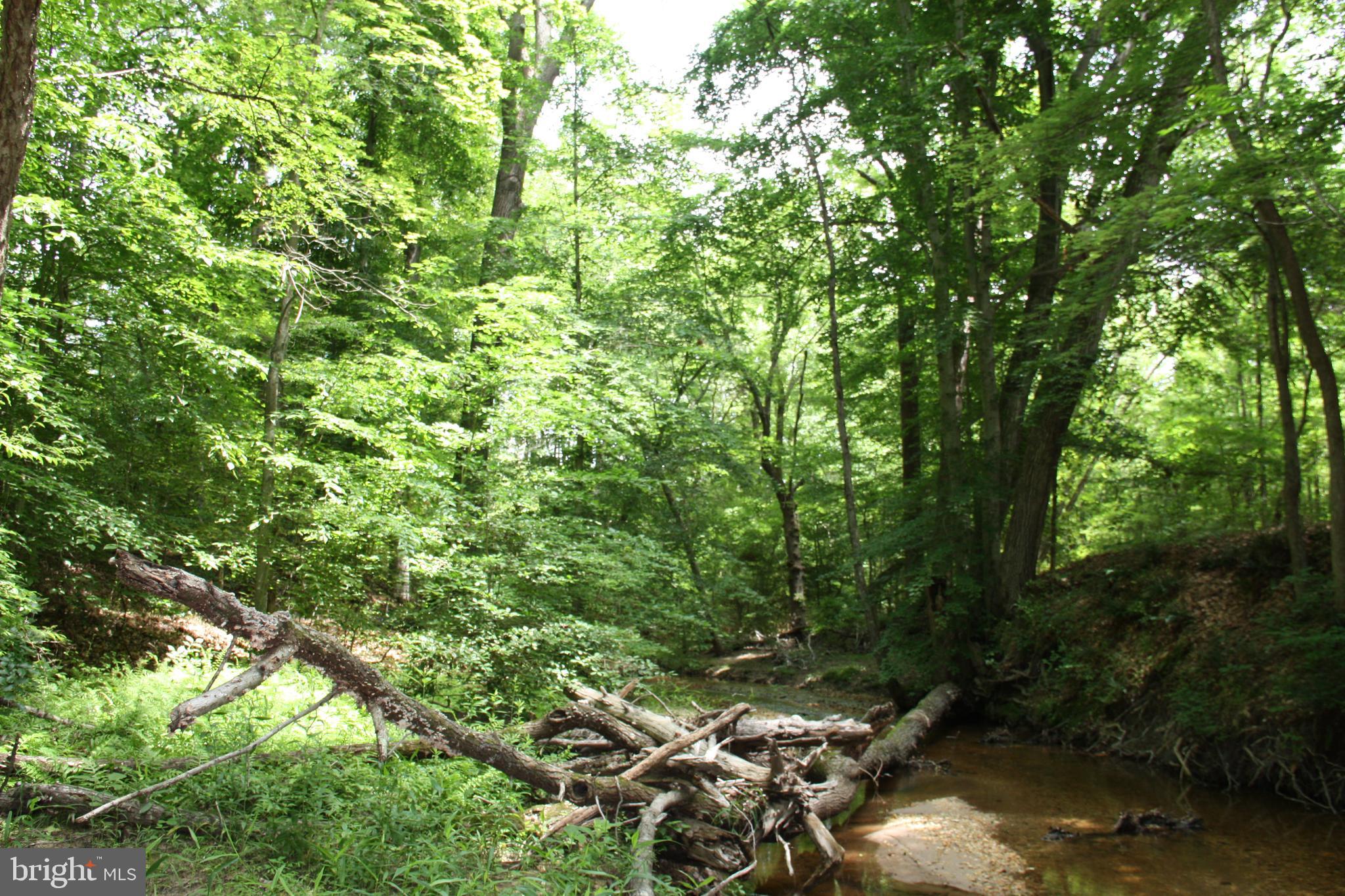 Old Falls Road Fredericksburg, VA 22405 - Photo 22 of 22 Creek/Little Falls Run