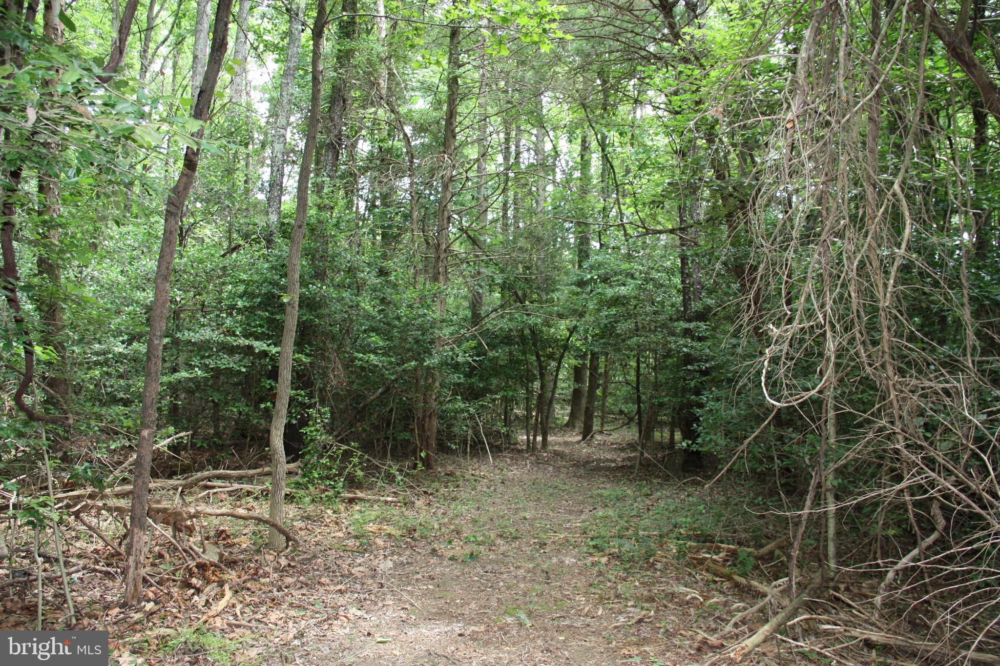 Old Falls Road Fredericksburg, VA 22405 - Photo 9 of 22 Interior lot/trail view