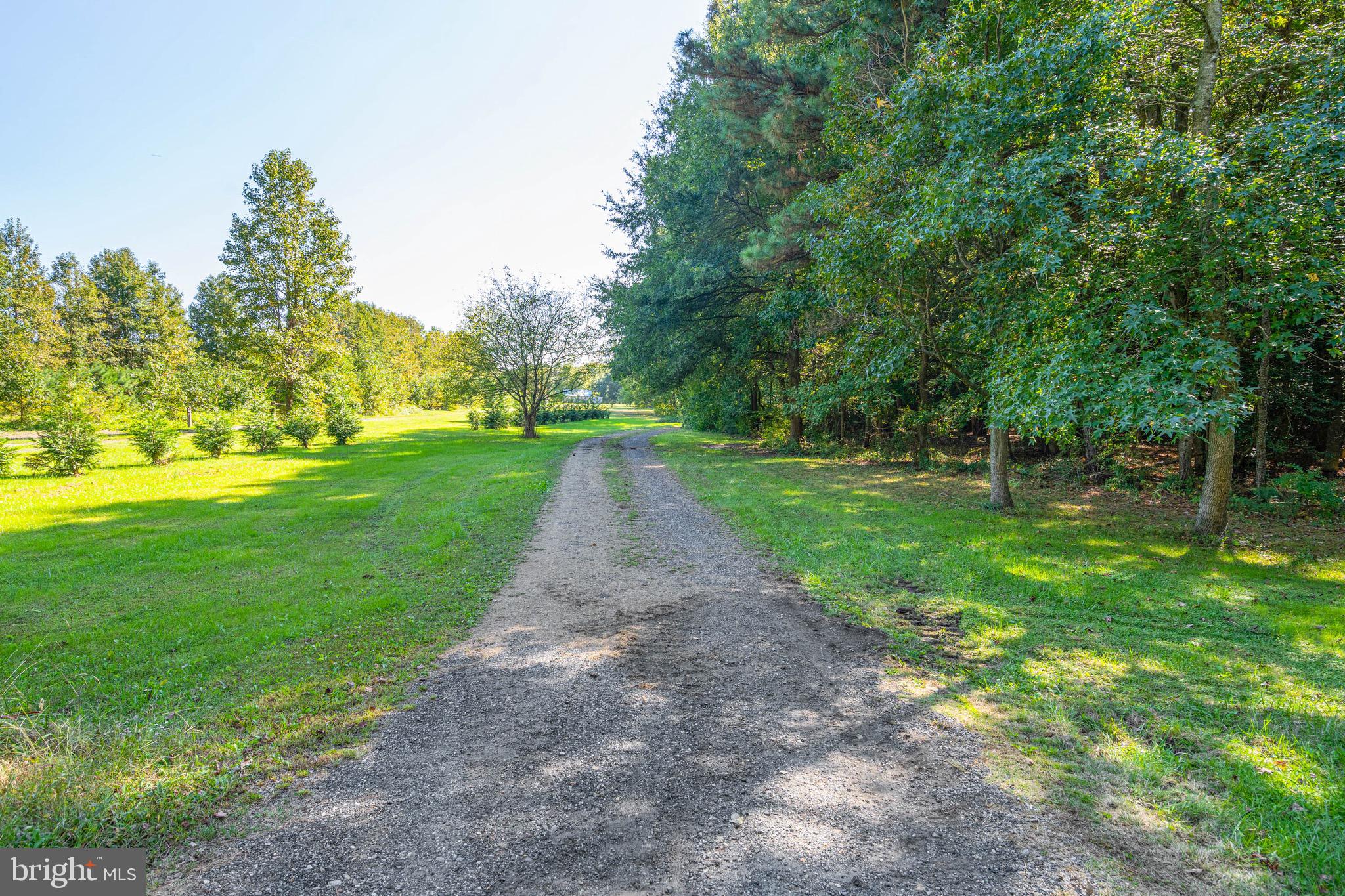 29756 Alexander Way Georgetown, DE 19947 - Photo 17 of 46 Long Driveway Leading to Property