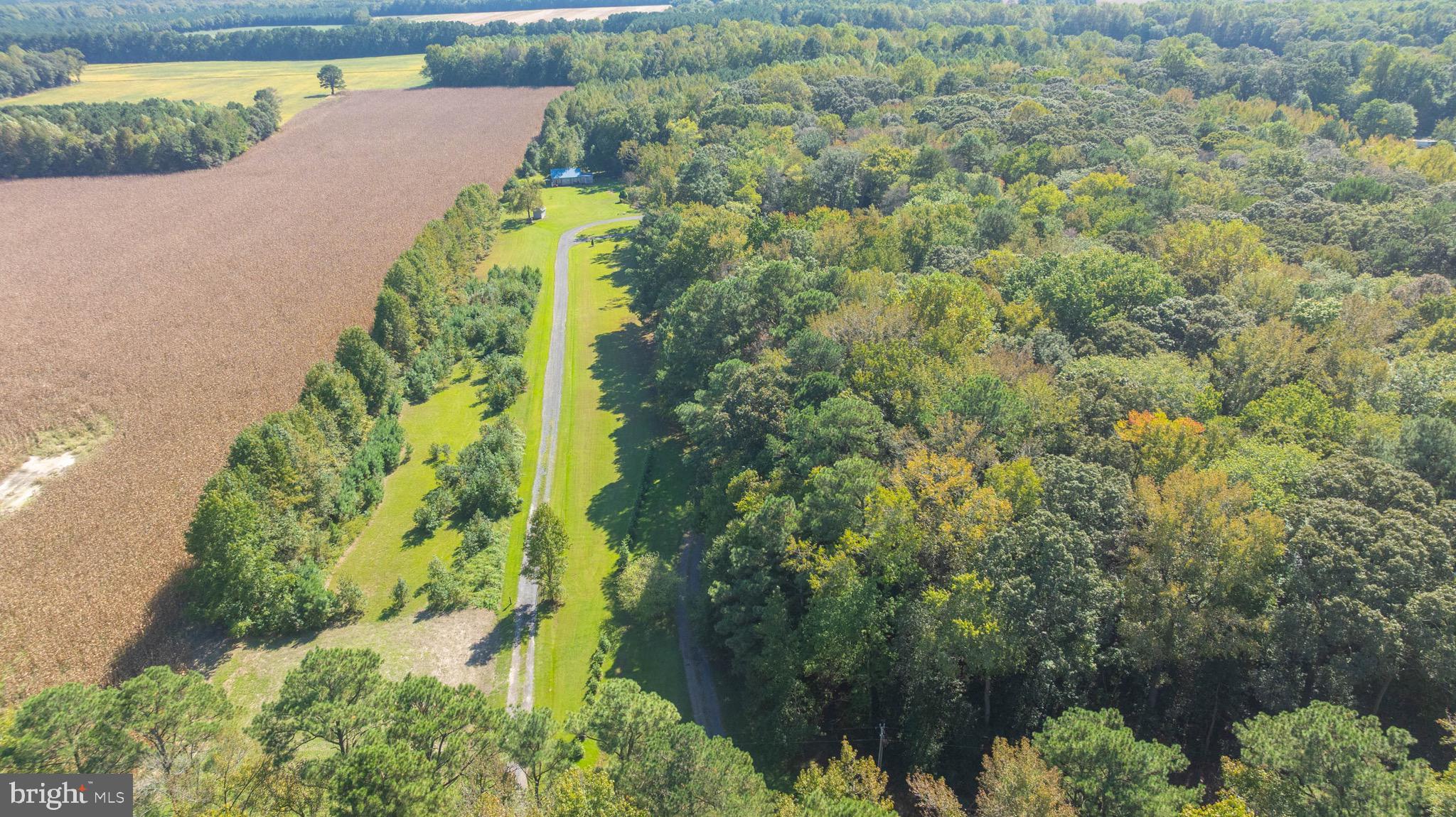 29756 Alexander Way Georgetown, DE 19947 - Photo 18 of 46