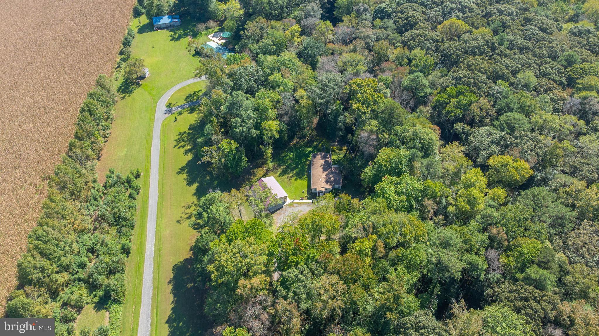 29756 Alexander Way Georgetown, DE 19947 - Photo 19 of 46 Wooded Property