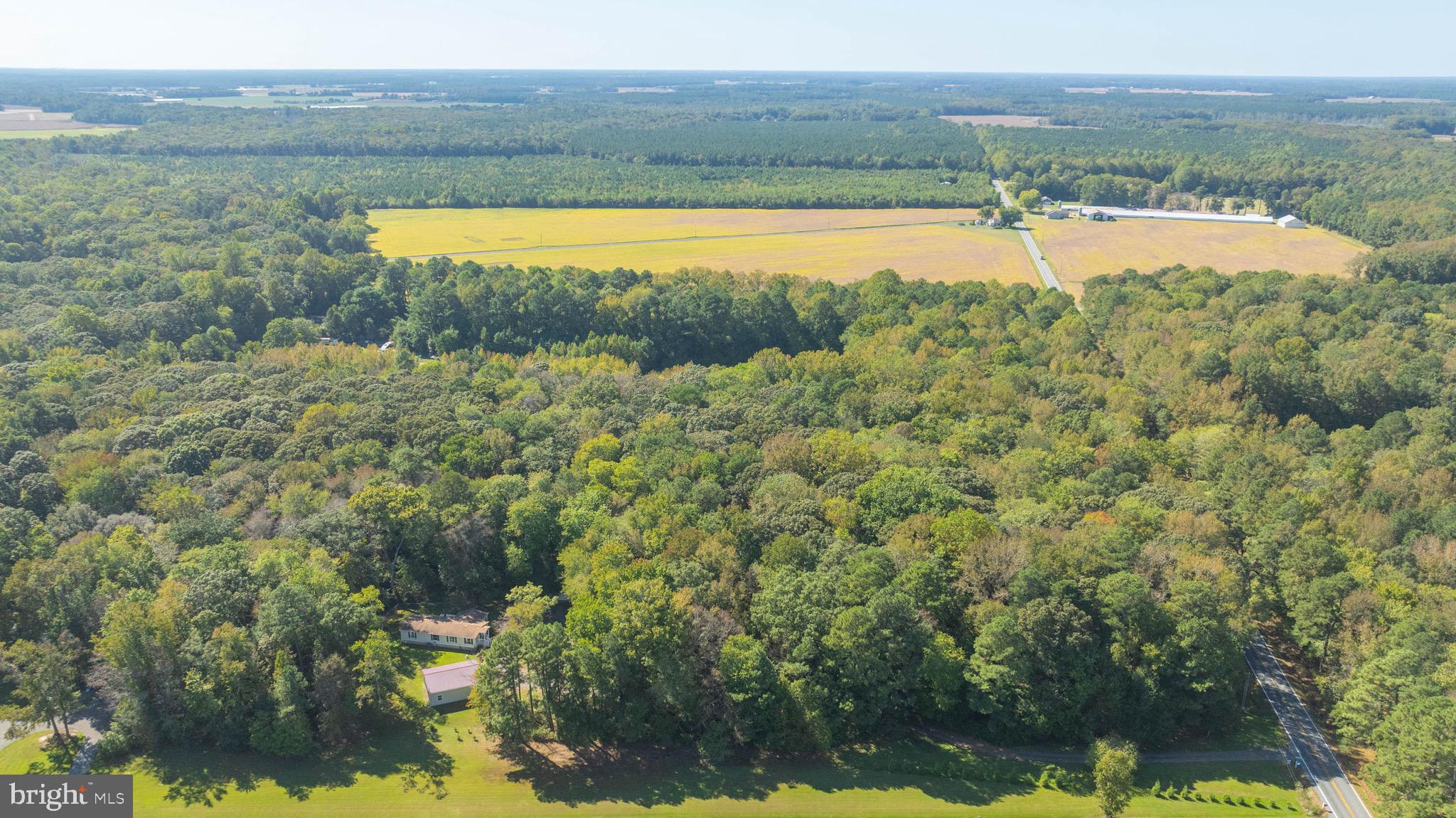 29756 Alexander Way Georgetown, DE 19947 - Photo 21 of 46