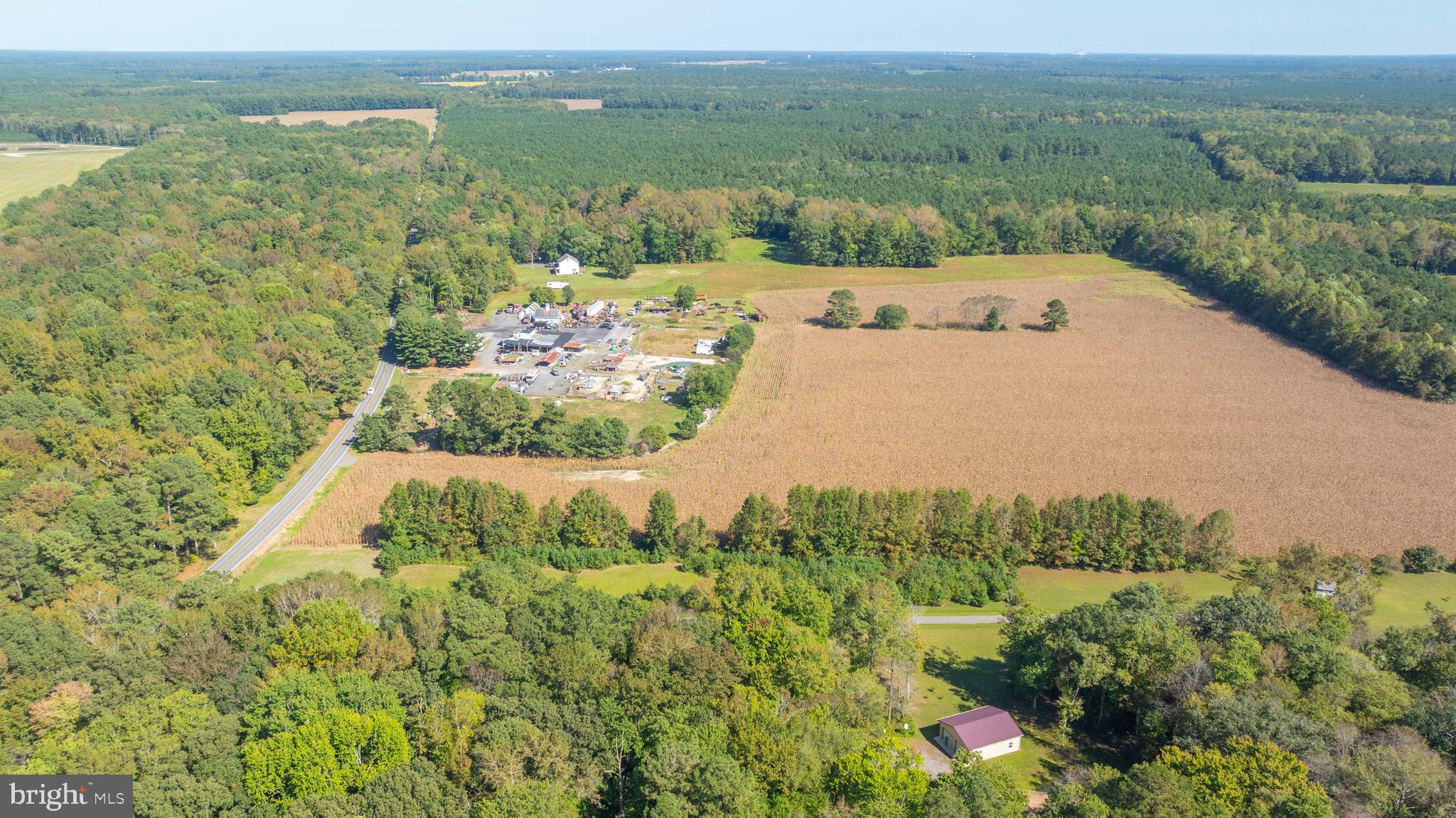 29756 Alexander Way Georgetown, DE 19947 - Photo 22 of 46