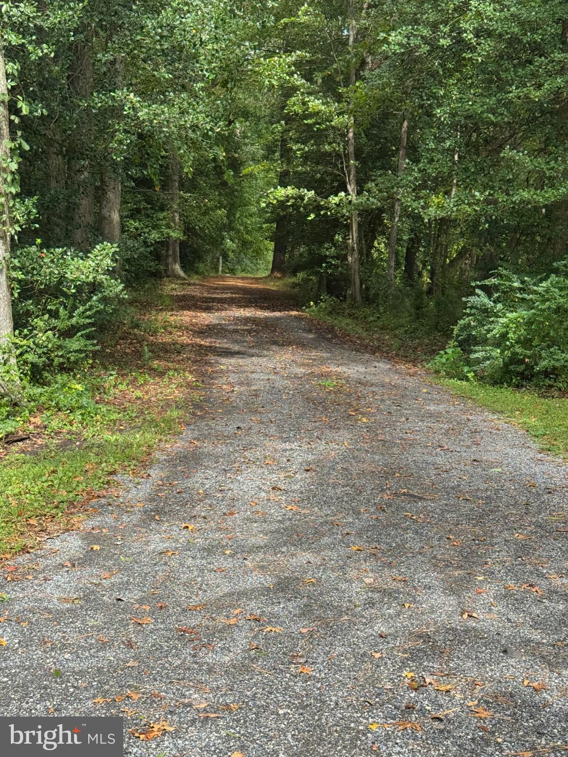 29756 Alexander Way Georgetown, DE 19947 - Photo 45 of 46 Serene path through lush greenery.