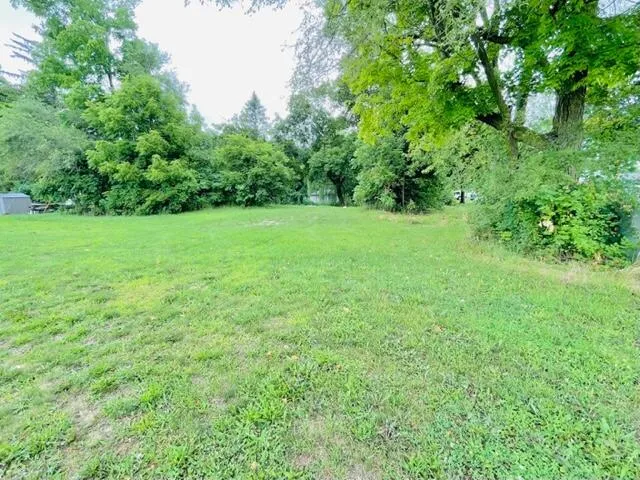 $56,000 | Lot 1 Ionia Street, Lake Odessa, MI 48849