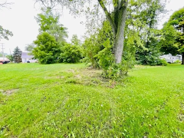 $56,000 | Lot 1 Ionia Street, Lake Odessa, MI 48849