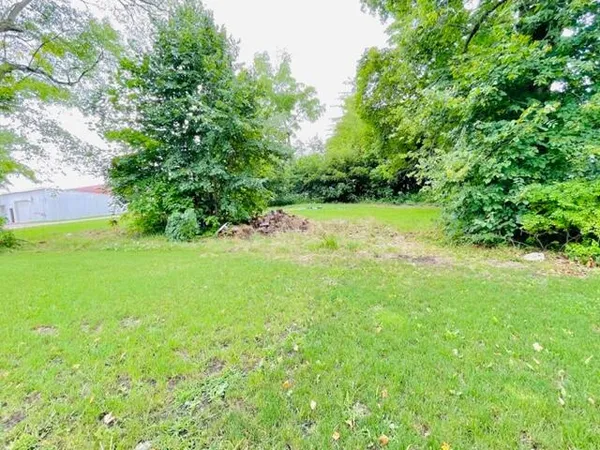 $56,000 | Lot 1 Ionia Street, Lake Odessa, MI 48849