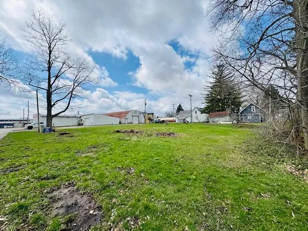 $56,000 | Lot 1 Ionia Street, Lake Odessa, MI 48849