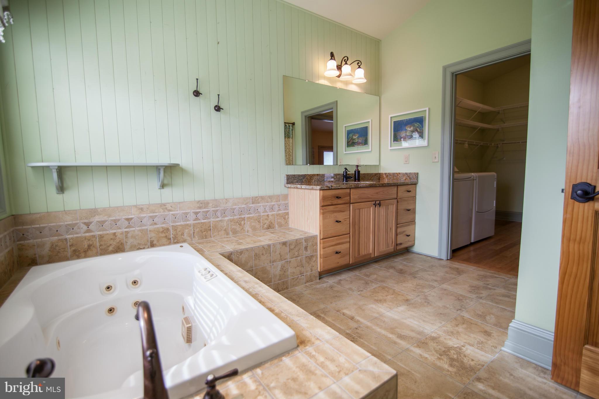 338 Mc Grady Road Rising Sun, MD 21911 - Photo 19 of 30 Bath (Master)