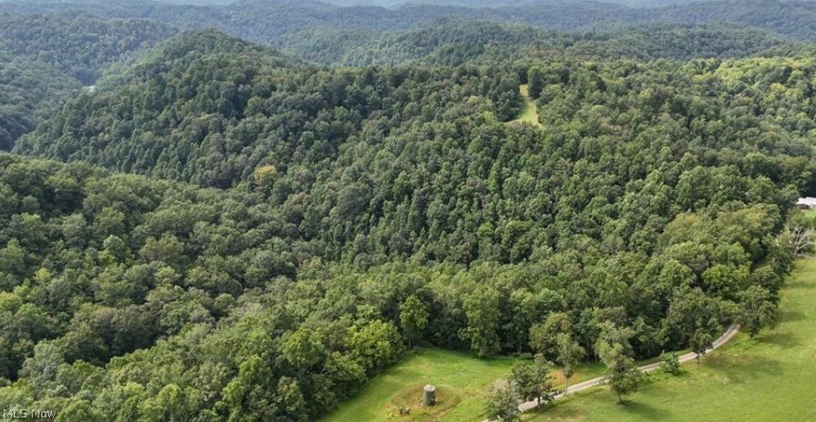 960 Kirby Ridge Mount Zion, WV 26151 - Photo 48 of 49