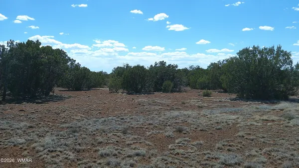 $10,000 | 5 County Road 8077, Concho, AZ 85924