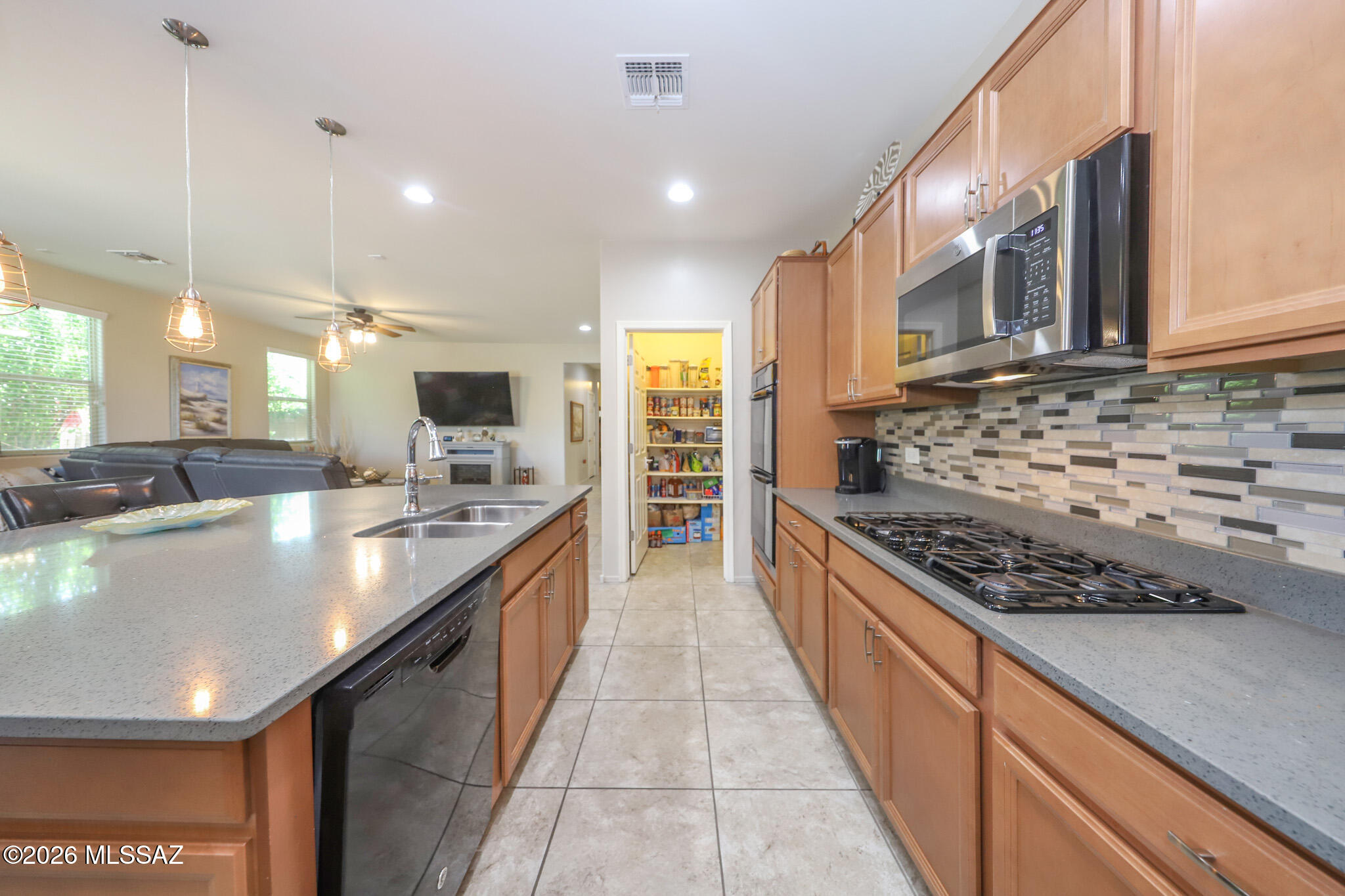9481 Horned Lizard Loop Tucson, AZ 85747 - Photo 11 of 36
