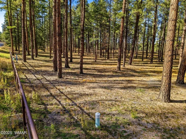 a view of a backyard of the house