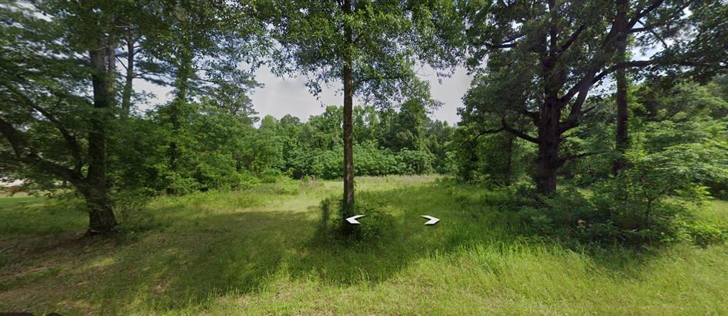 0 Caney Lake Road Minden, LA 71055 - Photo 1 of 1 View of landscape
