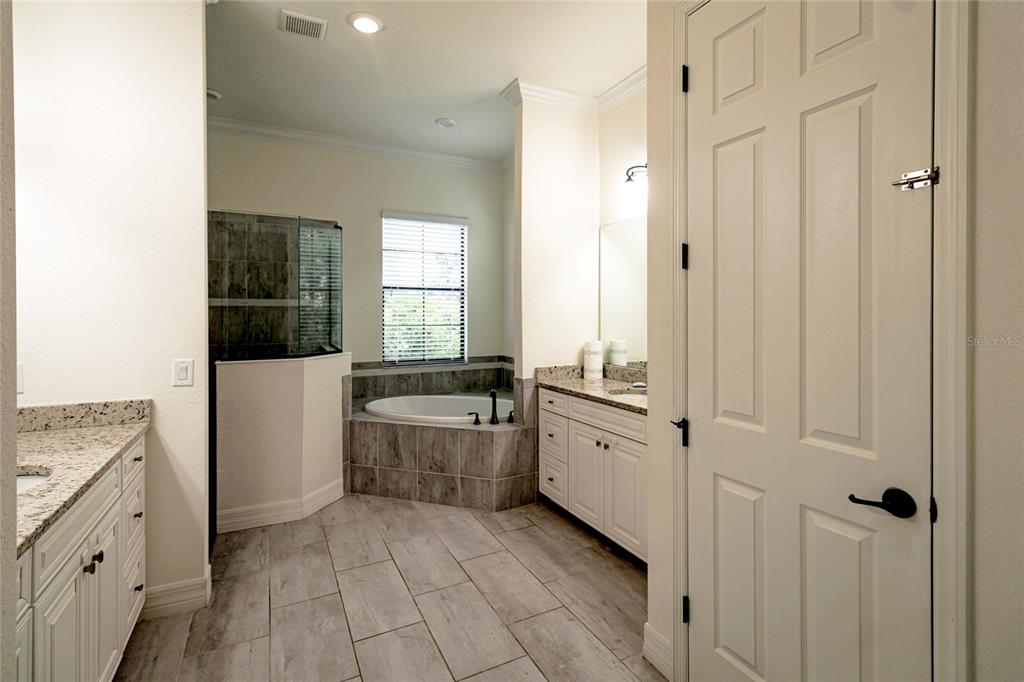 20315 Passagio Drive Venice, FL 34293 - Photo 16 of 40 a bathroom with a granite countertop sink a mirror and a bathtub