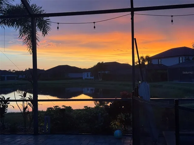 a view of a yard with a tree