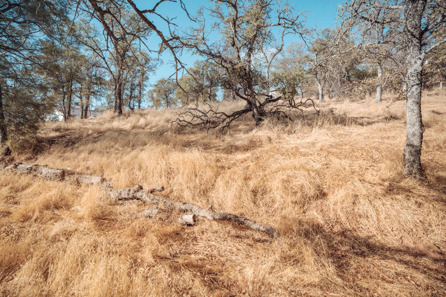 4846 Bayview Drive Copperopolis, CA 95228 - Photo 12 of 46 a view of snow in between the trees