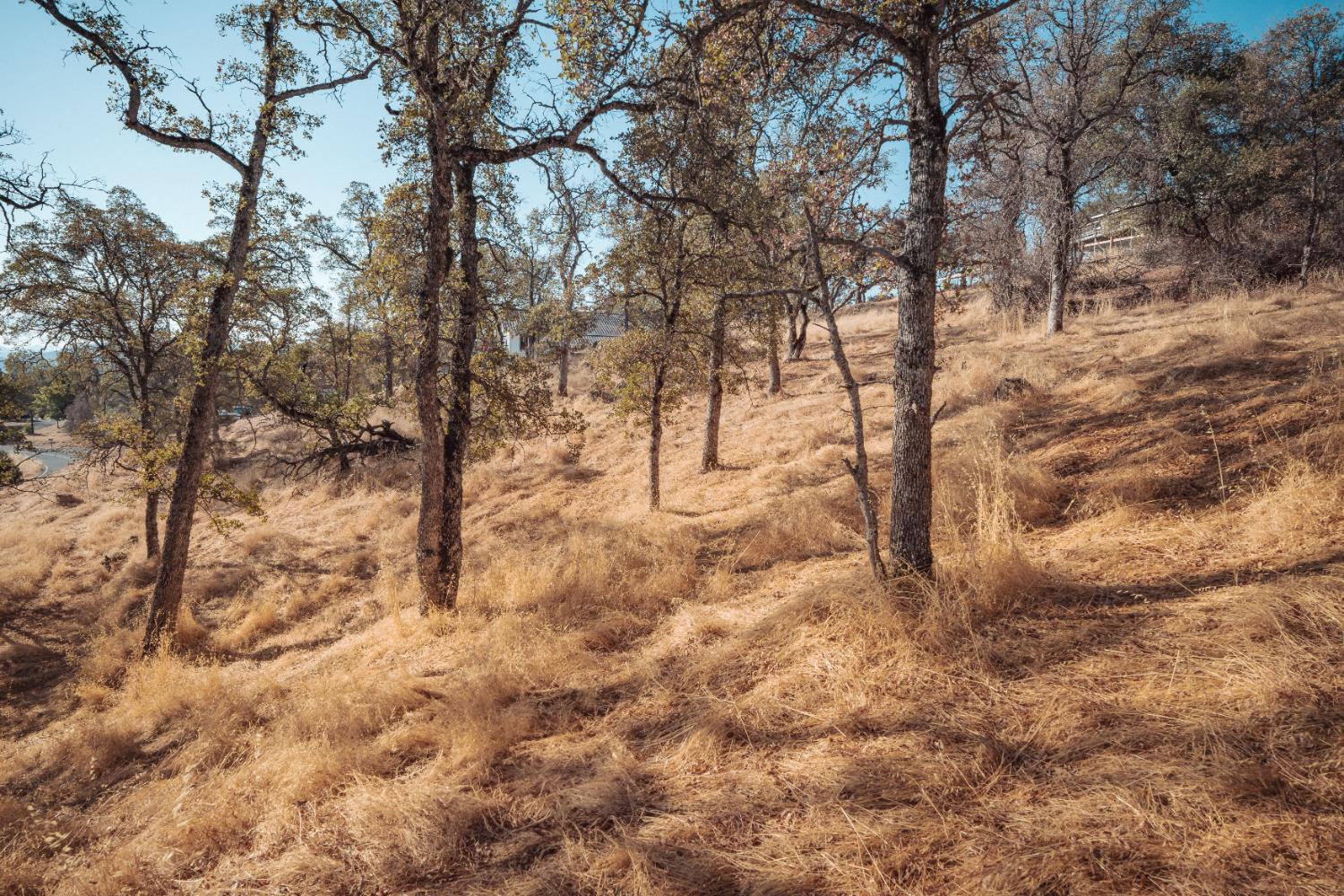 4846 Bayview Drive Copperopolis, CA 95228 - Photo 13 of 46 a backyard of a house with large trees