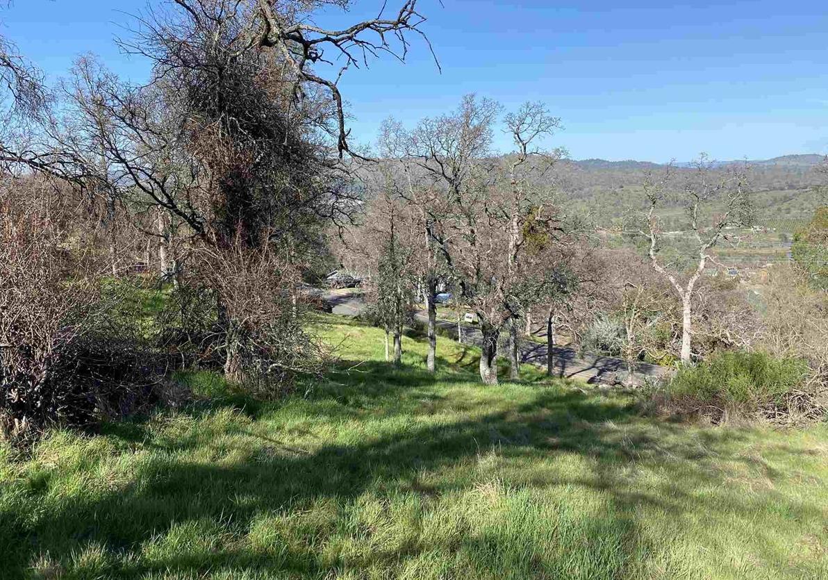 4846 Bayview Drive Copperopolis, CA 95228 - Photo 17 of 46 a view of a grassy field with trees in the background