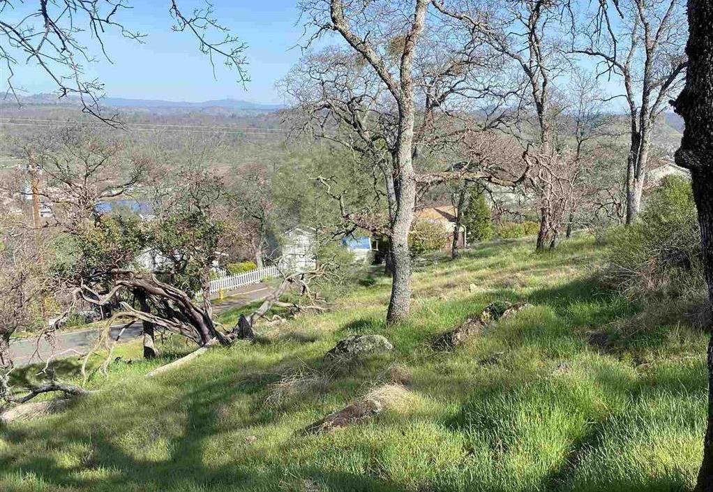 4846 Bayview Drive Copperopolis, CA 95228 - Photo 19 of 46 a view of a yard with large trees