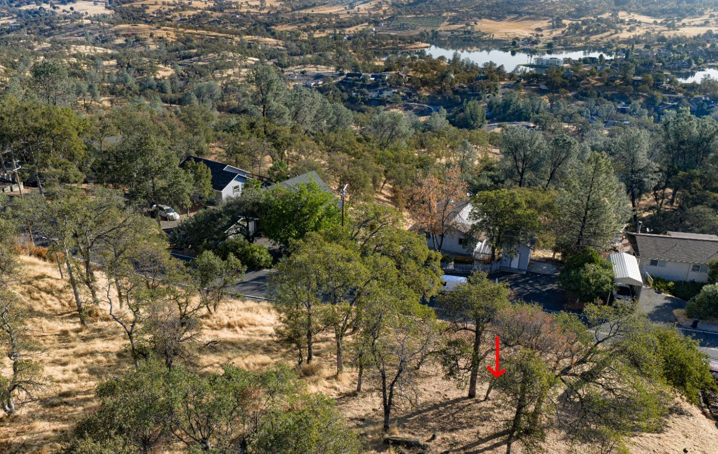 4846 Bayview Drive Copperopolis, CA 95228 - Photo 3 of 46 an aerial view of residential house with outdoor space and trees all around