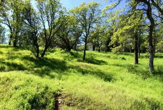 $25,000 | 4846 Bayview Drive, Copperopolis, CA 95228