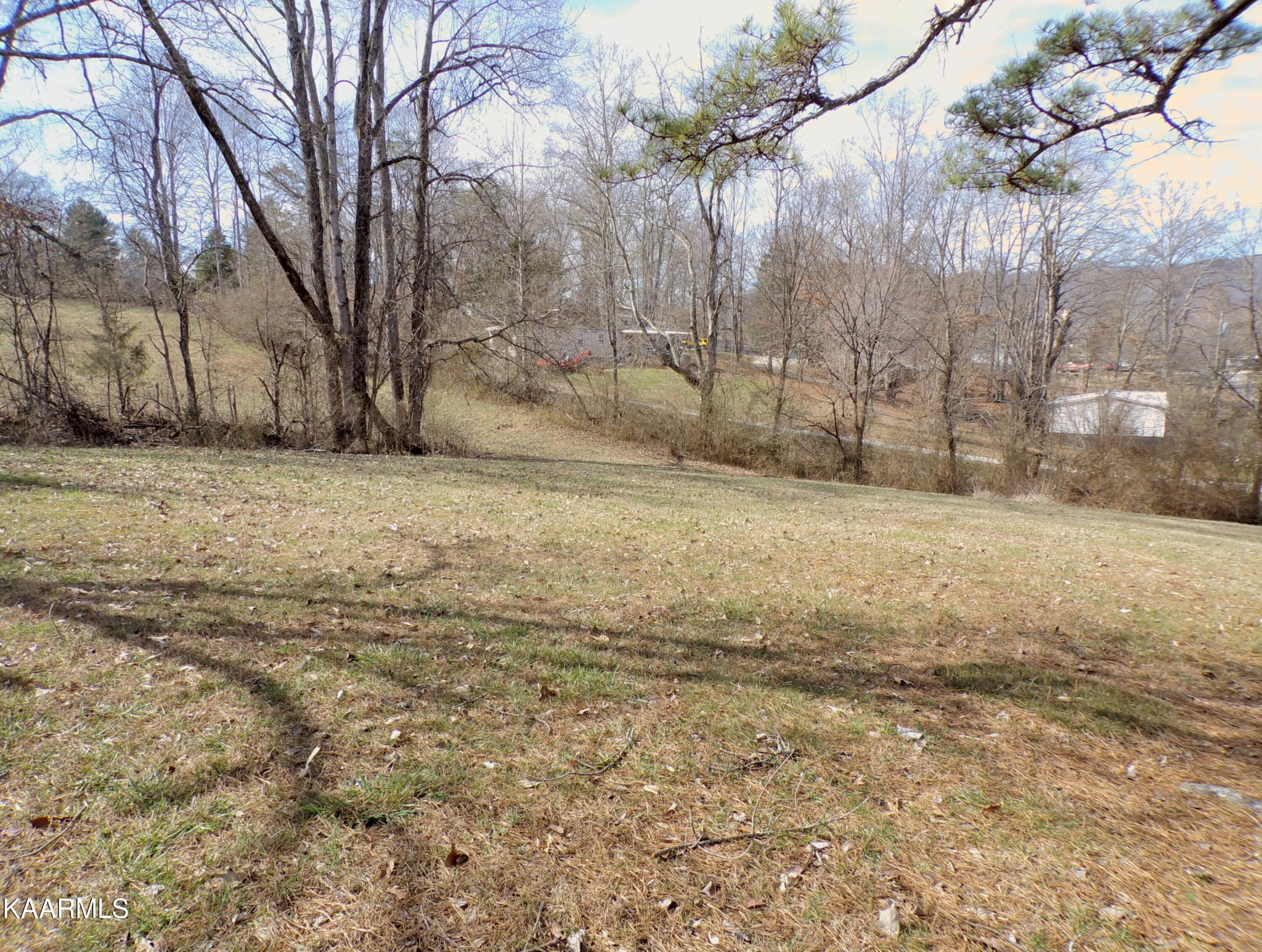 282 Davis Road La Follette, TN 37766 - Photo 5 of 21 Gallery Image 5